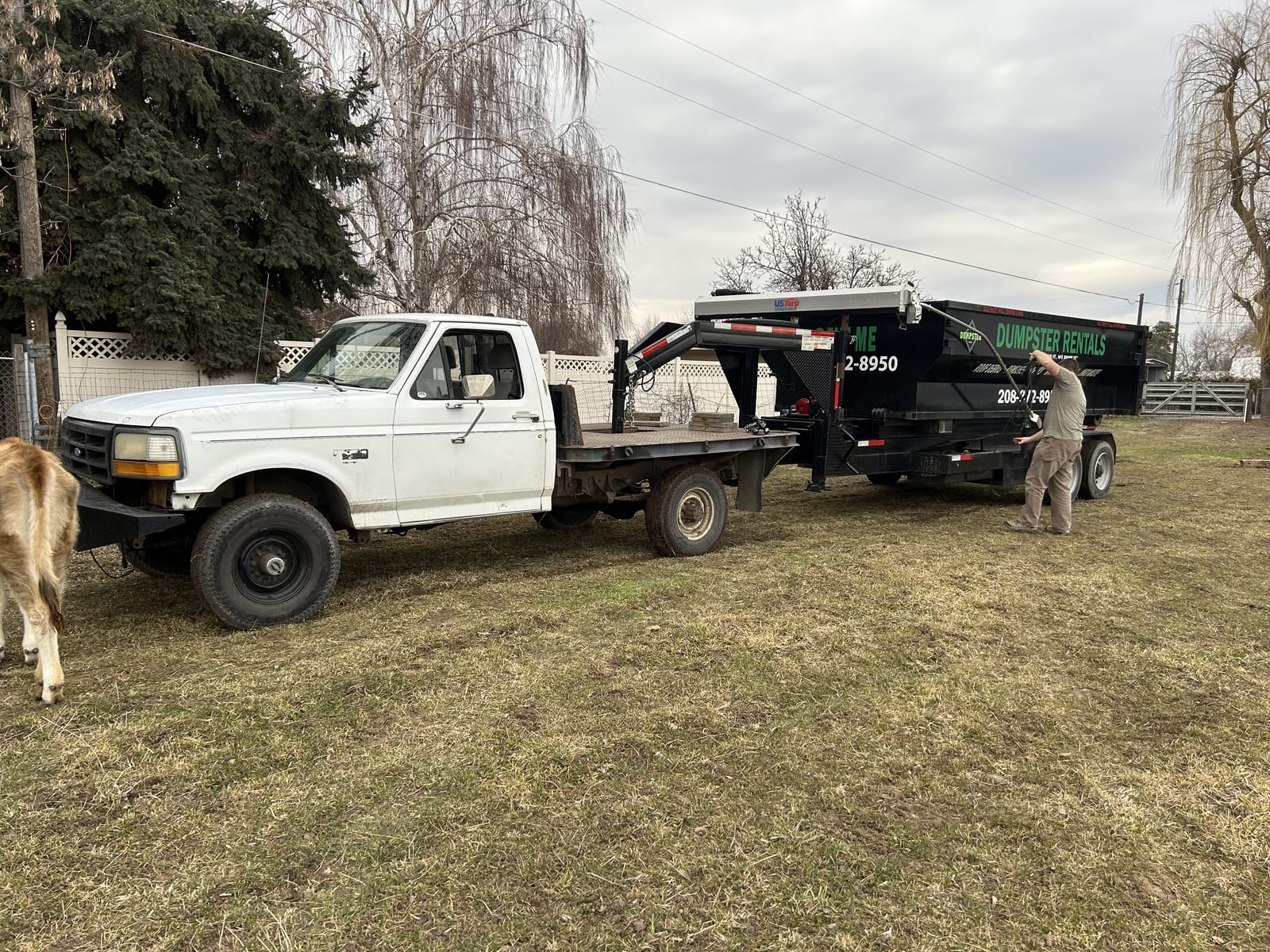 Flatbed truck hitched to a Diamond Dumpster roll-off trailer on a rural late-winter property, horse grazing nearby